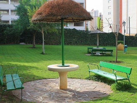 Apartamento en Benidorm - Detalles sobre el alquiler n63324 Foto n4