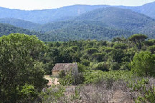 Casa rural en La garde freinet - Detalles sobre el alquiler n63527 Foto n3