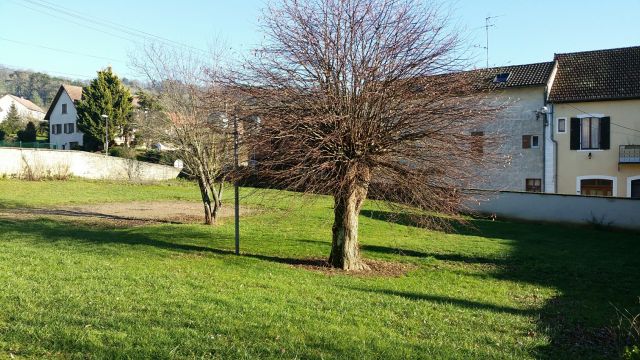 Casa rural en Pouilly en Auxois - Detalles sobre el alquiler n63616 Foto n1