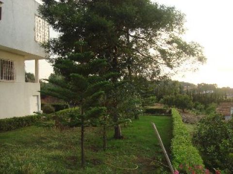 House in Tabarka - Vacation, holiday rental ad # 63628 Picture #4