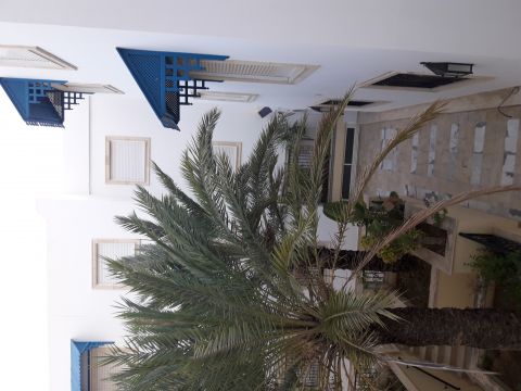 Flat in Hammamet nord  - Vacation, holiday rental ad # 63737 Picture #0