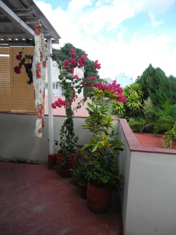 House in Trinidad - Vacation, holiday rental ad # 63922 Picture #3