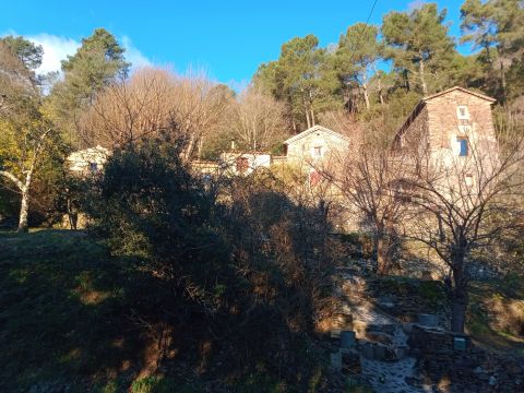 Habitaciones de huspedes (con desayuno incluido) en Le chambon - Detalles sobre el alquiler n63984 Foto n2