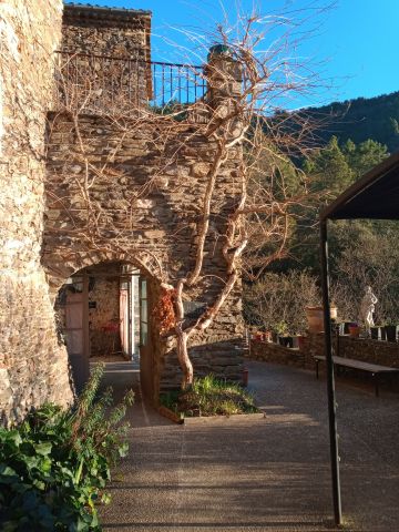 Habitaciones de huspedes (con desayuno incluido) en Le chambon - Detalles sobre el alquiler n63984 Foto n3