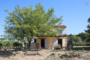 La maison dans les vignes