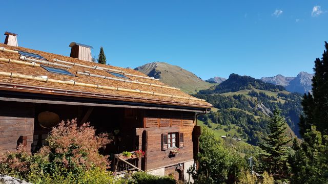Appartement in Le grand bornand - Vakantie verhuur advertentie no 64040 Foto no 8