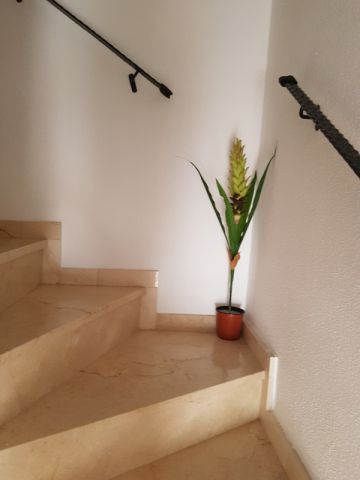 Maison  La Mata - Location vacances, location saisonnire n64068 Photo n14