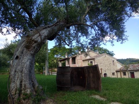 Apartamento en Perugia - Detalles sobre el alquiler n64173 Foto n2