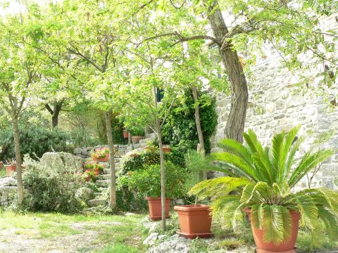 Casa en Labeaume - Detalles sobre el alquiler n64225 Foto n18