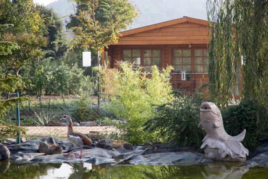 Casa de montaa en Girona - Detalles sobre el alquiler n64284 Foto n11