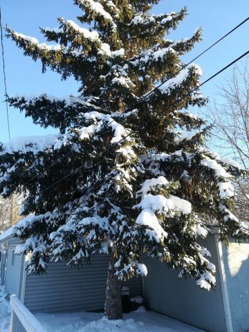 Casa en Edmonton - Detalles sobre el alquiler n64310 Foto n4