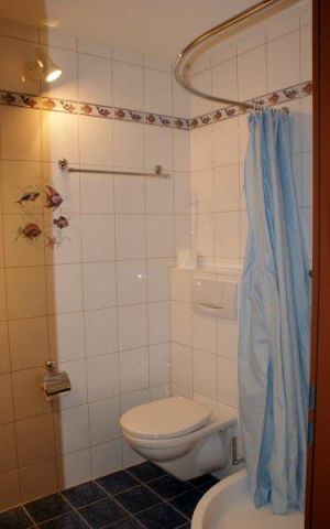 Appartement  Lrchenwald 1706 - Location vacances, location saisonnire n64344 Photo n7