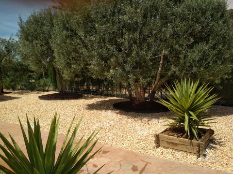 Farm in Pobla de vallbona - Vacation, holiday rental ad # 64391 Picture #7