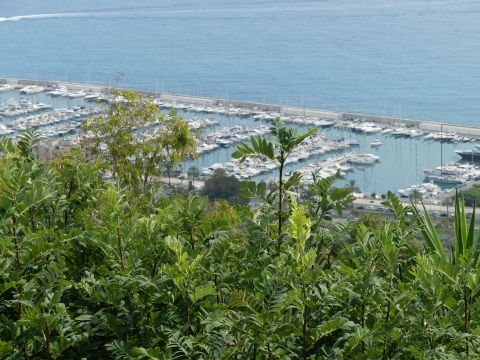 Gite  Menton - Location vacances, location saisonnire n64543 Photo n6