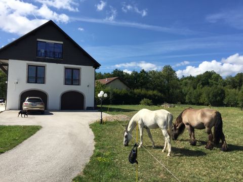 Ferme  Cercier - Location vacances, location saisonnire n64549 Photo n4