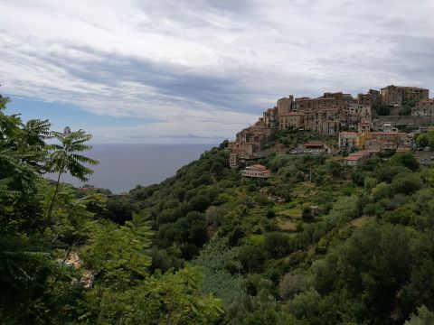 Casa en Pisciotta - Detalles sobre el alquiler n64602 Foto n12