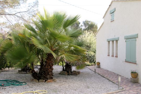 Huis in Bagnols-en-Forêt - Vakantie verhuur advertentie no 64617 Foto no 12
