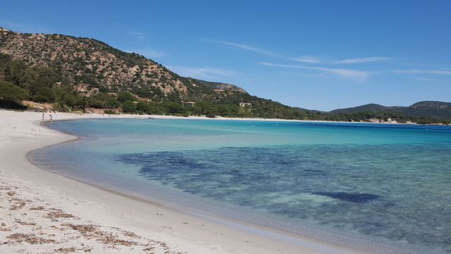 Casa rural en Porto vecchio palombaggia - Detalles sobre el alquiler n64623 Foto n1