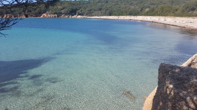 Casa rural en Porto vecchio palombaggia - Detalles sobre el alquiler n64623 Foto n11