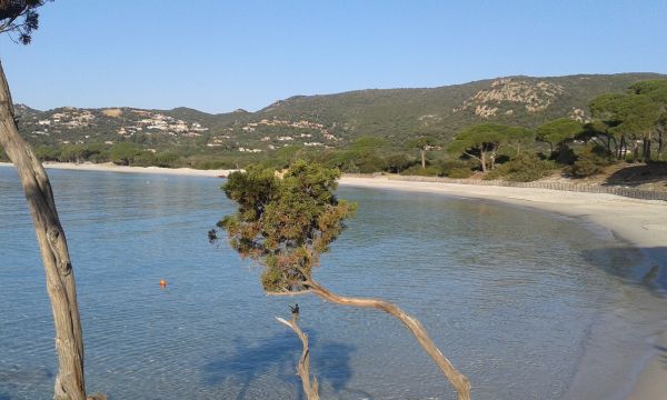 Casa rural en Porto vecchio palombaggia - Detalles sobre el alquiler n64623 Foto n12