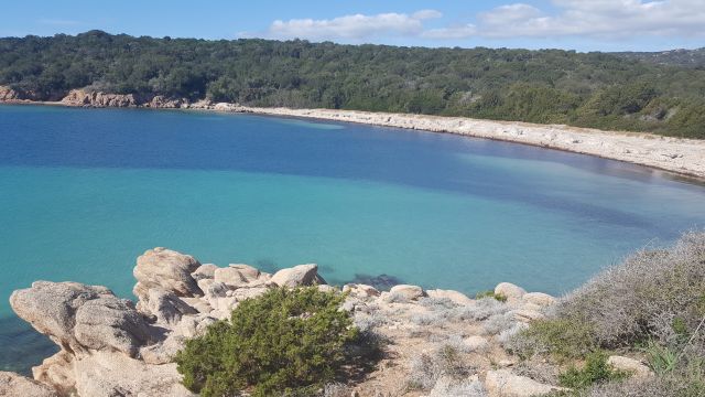 Casa rural en Porto vecchio palombaggia - Detalles sobre el alquiler n64623 Foto n13