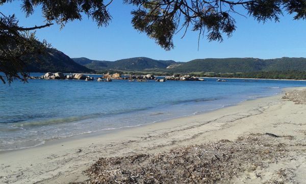 Chambre d'htes  Porto vecchio palombaggia - Location vacances, location saisonnire n64626 Photo n1