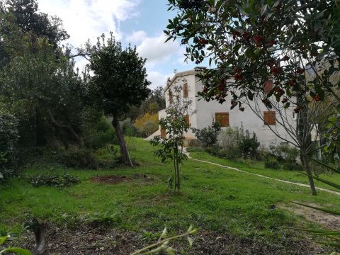 Maison  Cervione - Location vacances, location saisonnire n64647 Photo n9