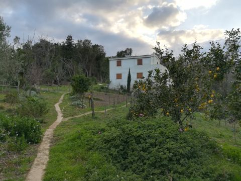 Casa en Cervione - Detalles sobre el alquiler n64648 Foto n0