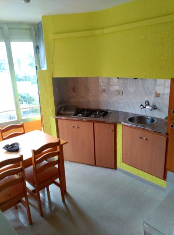 Studio in La Pineda ( Salou) - Vacation, holiday rental ad # 64690 Picture #5