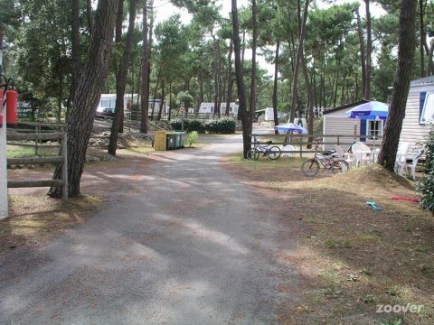 Mobil-home  La palmyre - Location vacances, location saisonnire n64723 Photo n8