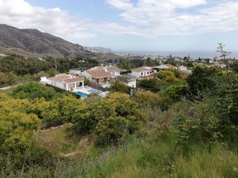 Casa rural en Frigiliana - Detalles sobre el alquiler n64742 Foto n12