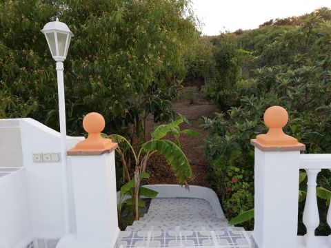 Gite in Frigiliana - Vacation, holiday rental ad # 64742 Picture #17
