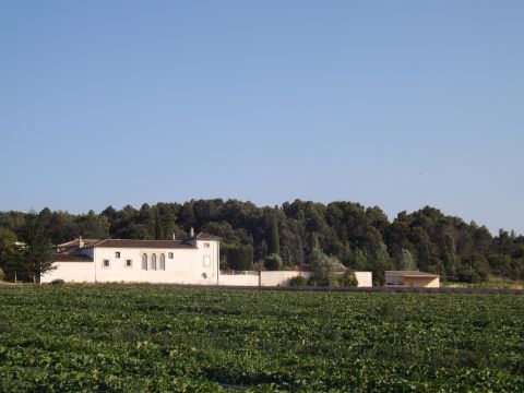 Bauernhof in Valreas - Anzeige N°  64811 Foto N°4