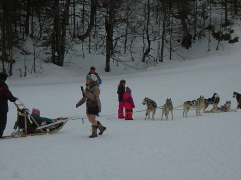 Gite in Lourdios-Ichre - Anzeige N  64828 Foto N12