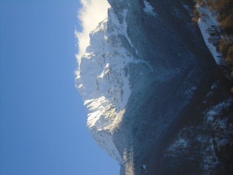 Gite in Lourdios-Ichère - Anzeige N°  64832 Foto N°13