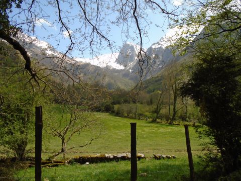 Casa rural en Lourdios-Ichre - Detalles sobre el alquiler n64832 Foto n14