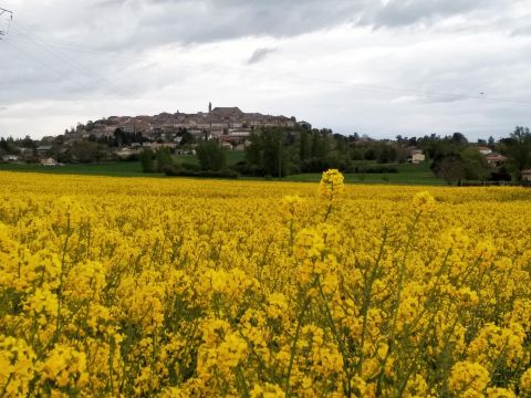 Chambre d'htes  Monflanquin - Location vacances, location saisonnire n64911 Photo n8