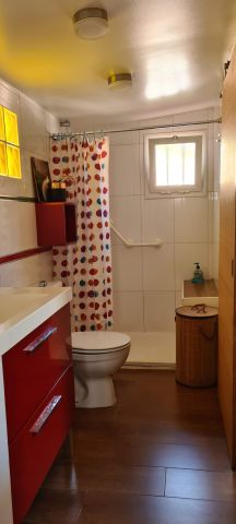 Studio in Saint Gilles les bains - Vacation, holiday rental ad # 64979 Picture #2
