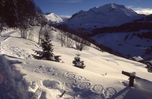 Le grand bornand -    3 chambres 