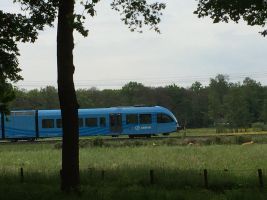 Boerderij in Dalfsen voor  6 •   met terras 