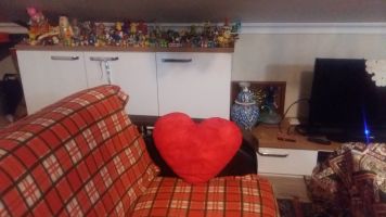 House in Istanbul for   2 •   animals accepted (dog, pet...) 