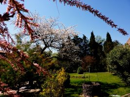 Agde -    animaux accepts (chien, chat...) 