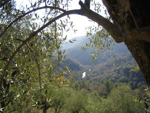 Casa en Saint czaire sur Siagne - Detalles sobre el alquiler n65013 Foto n10