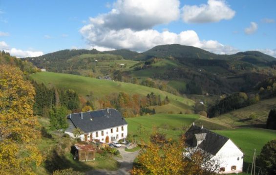 Casa rural en Le bonhomme - Detalles sobre el alquiler n65139 Foto n2