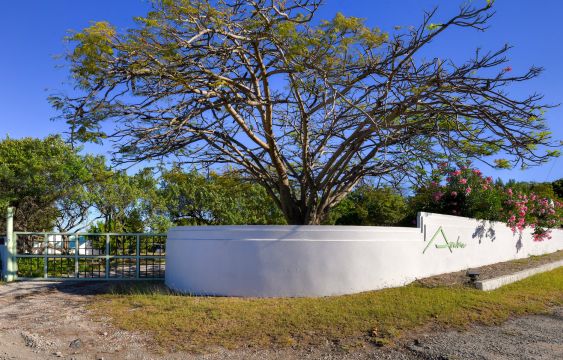 Casa en Anguilla - Detalles sobre el alquiler n65209 Foto n13