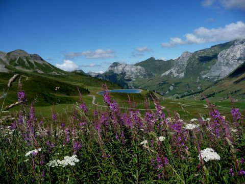 Chalet in Le grand bornand - Vakantie verhuur advertentie no 65242 Foto no 12