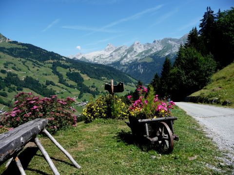 Chalet in Le grand bornand - Anzeige N  65242 Foto N13