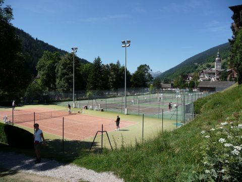 Chalet in Le grand bornand - Anzeige N  65242 Foto N17