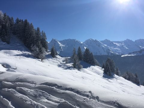 Chalet in Le grand bornand - Anzeige N  65242 Foto N18