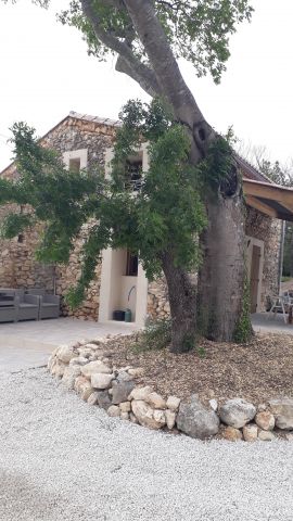 Gite in Saint-Mamert-du-Gard - Vakantie verhuur advertentie no 65272 Foto no 12